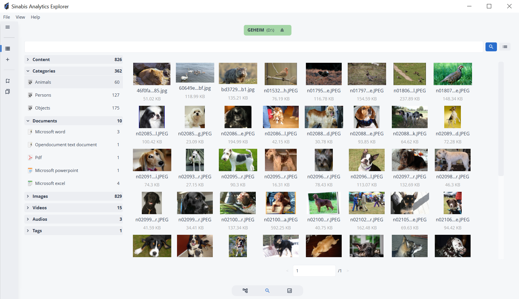 Image of animals inside the explorer